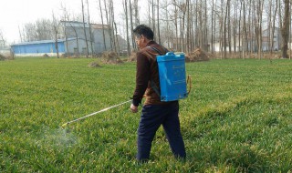 园林灌木除草方法 园林灌木怎么除草