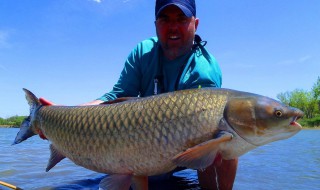 玉米钓鳊鱼的方法 鱼儿上钩要做什么呢