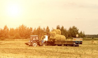 如何处理地里的秸秆 这样可以变废为宝