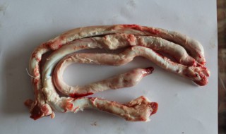 羊鞭如何处理干净 羊鞭处理干净的方法