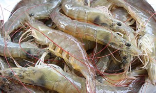 草虾头怎么处理 本文教你如何处理虾头