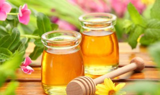 蜂蜜怎么样吃有营养价值 蜂蜜如何吃有营养价值