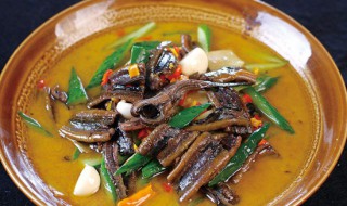 儿童吃鳝鱼的营养价值和功效 儿童吃鳝鱼的六大营养价值和功效