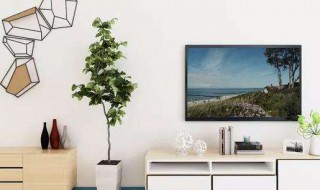 大白墙返潮怎么解决 墙面潮怎么处理