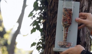 鸟食盆怎么做 鸟食盆的制作方法步骤