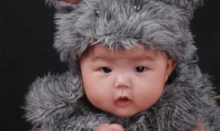 夸宝宝可爱的句子幽默 有关宝宝可爱的句子介绍