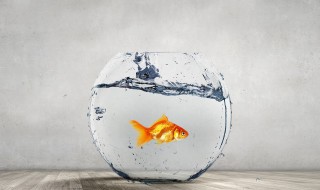 对过去说再见霸气句子 告别过去重新开始说说