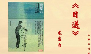 龙应台经典句子 龙应台的经典句子