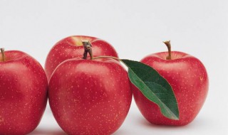 苹果怎么保存好 保存苹果的妙招