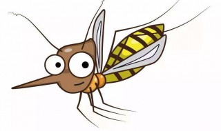 蚊子的处理方法 蚊子的处理方法有哪些