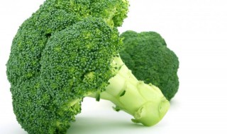 青菜怎么做不油 青菜怎么做好吃