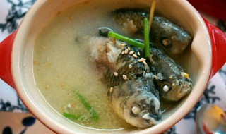 鲫鱼汤可口的做法 鲫鱼汤可口的做法分享