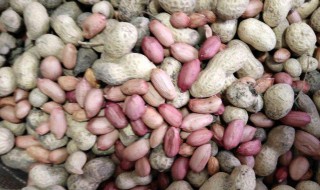 剥壳花生做法 花生怎么剥壳