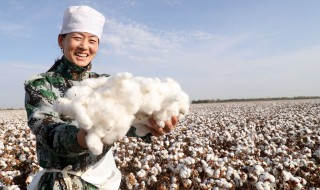 采棉花步骤 采棉花步骤简述