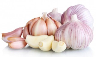 蒜怎么种 大蒜种植时间