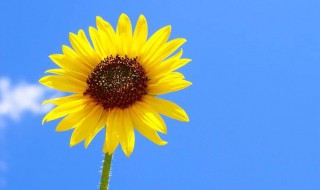 暖心励志的句子简短 唯美暖心励志的句子