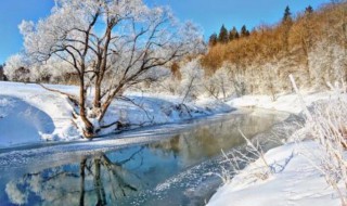 描写冬天温暖的句子 描写冬天温暖的句子有哪些
