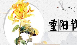 重阳节日祝福语10字以内 重阳节日祝福语精选