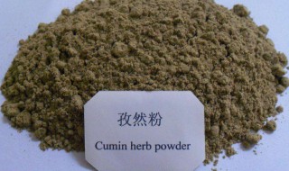 孜然粉的使用方法 孜然粉的使用方法是什么