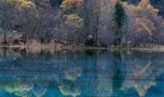 九寨沟的最短优美句子 九寨沟为什么这么受欢迎