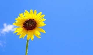 女生微信网名简单又好听 女生的微信网名简单又好听有哪些