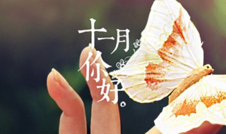 11月句子短句唯美 11月金典语句