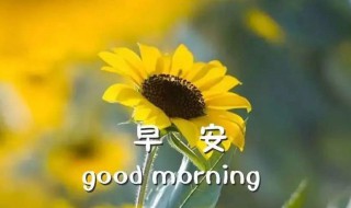 早晨送给同学们的祝福语 同学早晨祝福语推荐