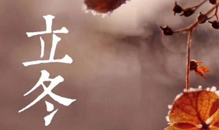 有关立冬的俗语 立冬有什么俗语