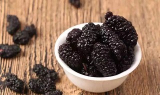 桑葚干的功效与作用及食用方法 桑葚干的功效与作用及食用方法介绍