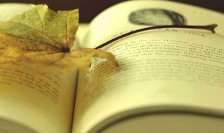 红娘这个人物成名于哪部作品 红娘这个人物成名于西厢记