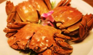 醉蟹可以存放多久 醉蟹保存时间介绍