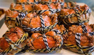 大闸蟹冷冻存放多久 大闸蟹冷冻存放时间介绍