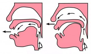 怎么正确区分前后鼻音 正确区分前后鼻音发音介绍