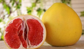 秋天的第一个柚子是什么梗 秋天的第一个柚子是什么意思