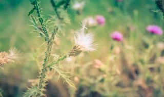 十一月早安句子 十一月早安句子集锦