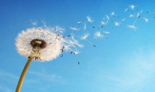 全世界早安的句子 全世界早安的句子推荐