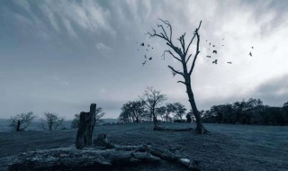 人生态度潇洒的语句 态度潇洒的语句有哪些