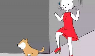 踩狗屎是什么征兆 踩狗屎征兆介绍