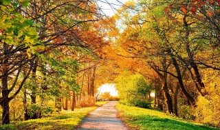 秋天的句子短一些 关于秋天的句子