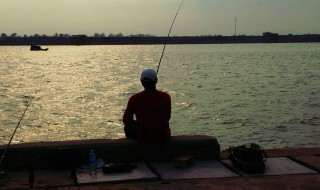 雨天野外钓鱼技巧 雨天野外怎么钓鱼