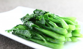 小青菜种植方法和时间 小青菜怎样种植