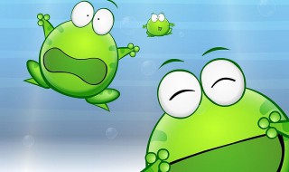 养殖牛蛙的做法 养殖牛蛙的方法