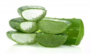 芦荟怎么用 芦荟的用处