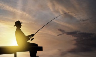 怎么钓草鱼 钓草鱼的三个技巧