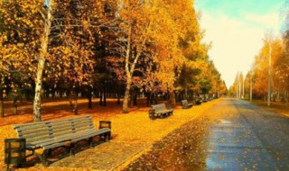 秋天的作文600字 秋天的作文范文