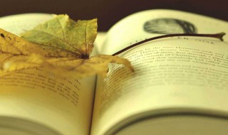 带有秋字的诗句 带有秋字的诗句列述