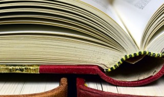 运动会广播稿短跑 运动会广播稿短跑怎么写