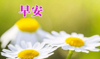 早上问候语句 早上问候语句有哪些