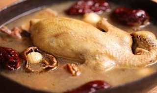 乳鸽汤怎么做最补 乳鸽汤怎么做好喝