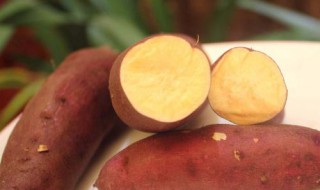 山芋在家怎么做 山芋做法